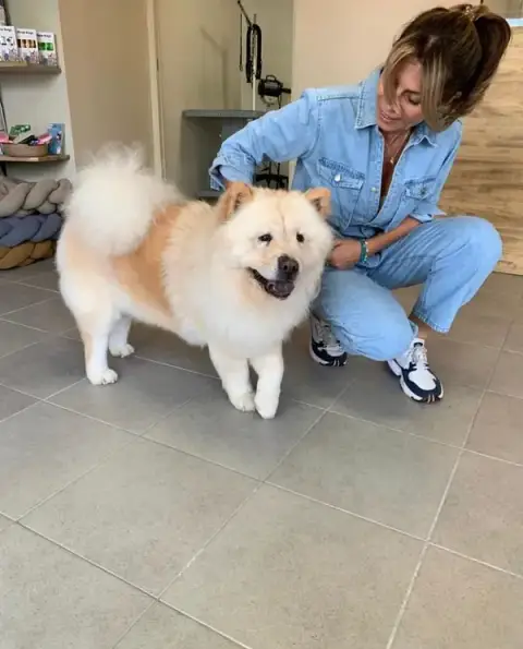 Dog lavage