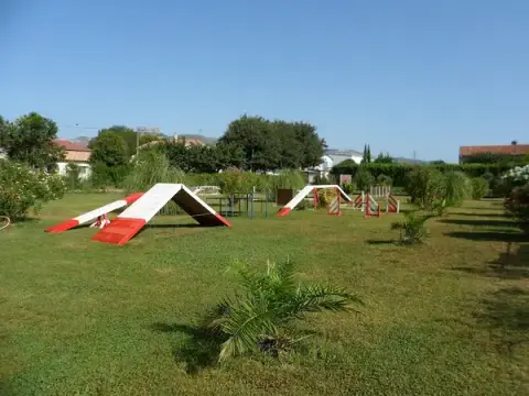 centre d'éducation canine d'Aubagne