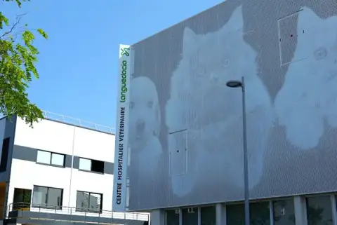 Centre Hospitalier Veterinaire Languedocia