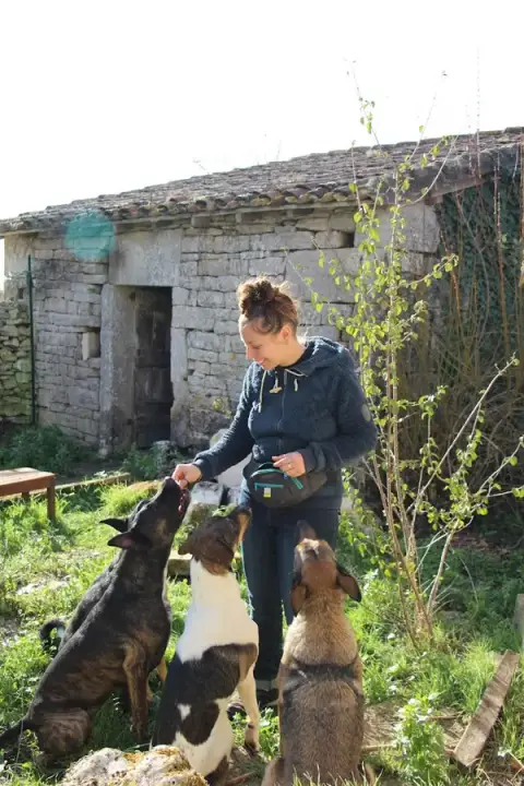 Rivière Positive - Activités canines : mantrailing et nosework - Tarn-et-Garonne et Aveyron