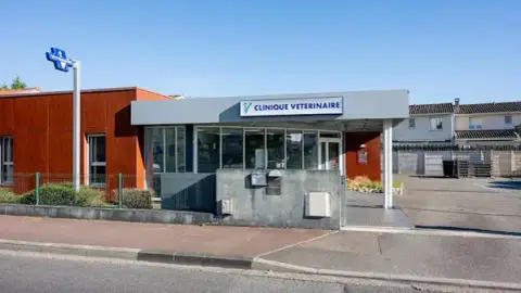 Clinique Vétérinaire Alfavet
