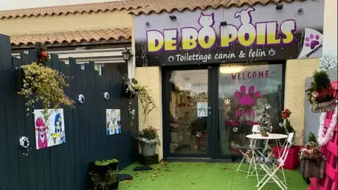 DE BO POILS, salon de toilettage chiens et chats