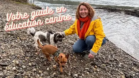 Miss Canina - Educateur canin