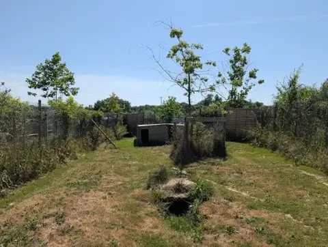 Terre de Légendes - Élevage, pension, éducation, alimentation et accessoires pour chiens et chats
