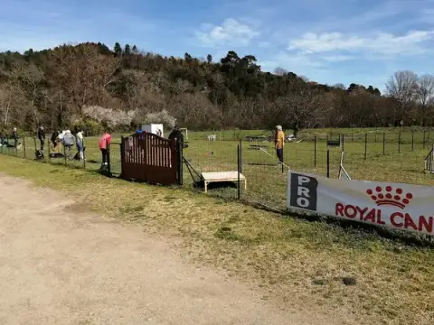 Club canin Terre des Chiens