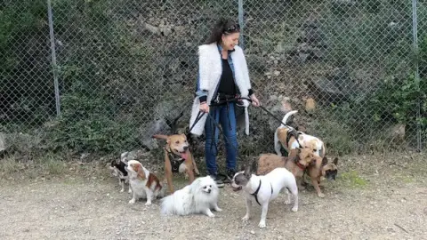 Happy DogHouse