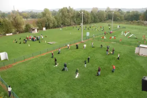 Éducation Sports Canins Macônnais