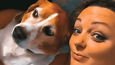 Garde d'animaux