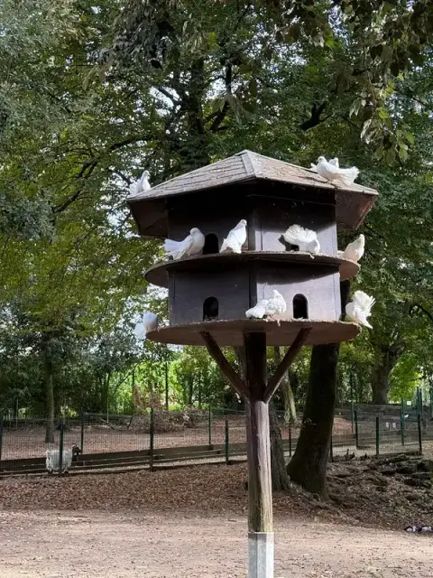 Animal Park Nahuques