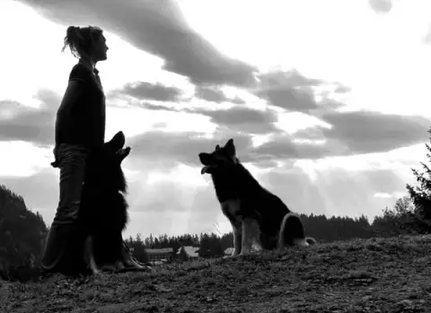 L'Ombre des Loups