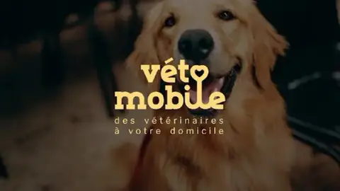 Véto-Mobile - Des vétérinaires à votre domicile