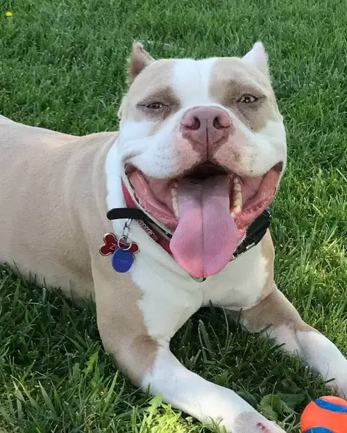 Zeus  **Courtesy Listing**