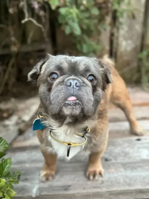 Theodore