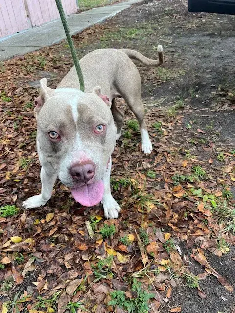 Walter