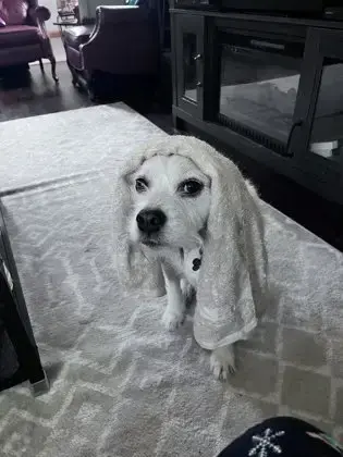 Coco