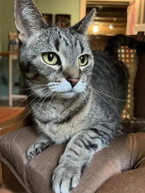 Ruthie
