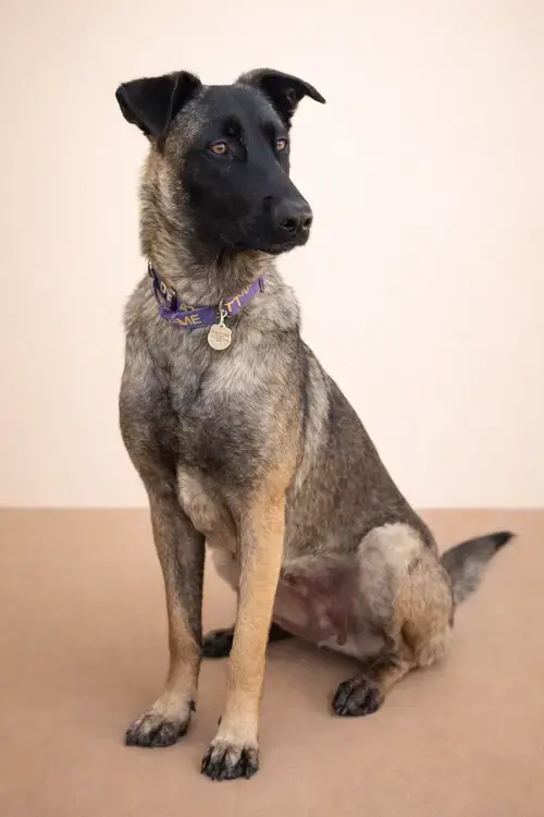 Kika