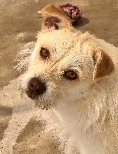 Ella