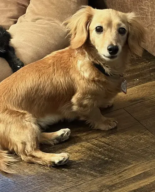 Stella In Tn