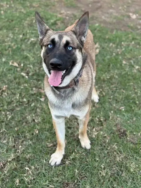 Murphy