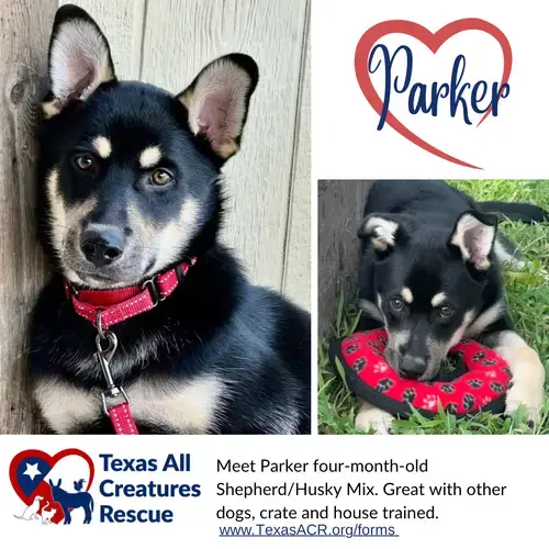 Parker
