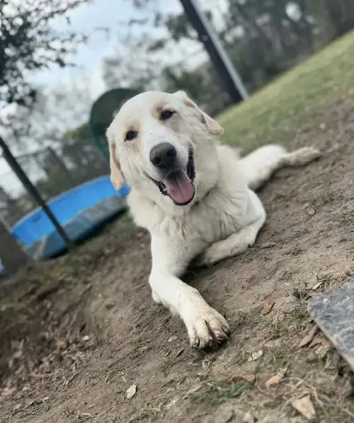 Theodore