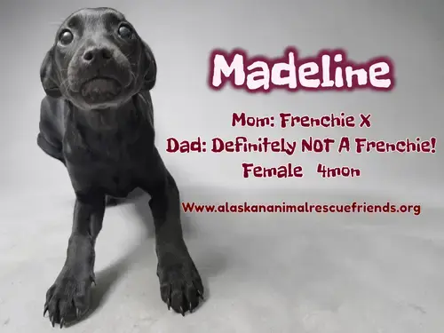Madeline