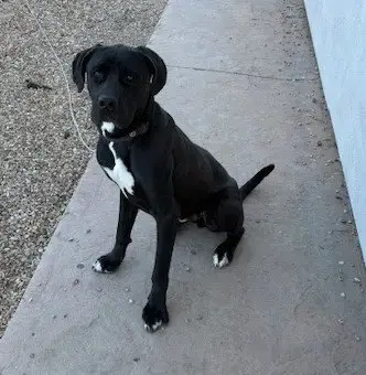 Zeus