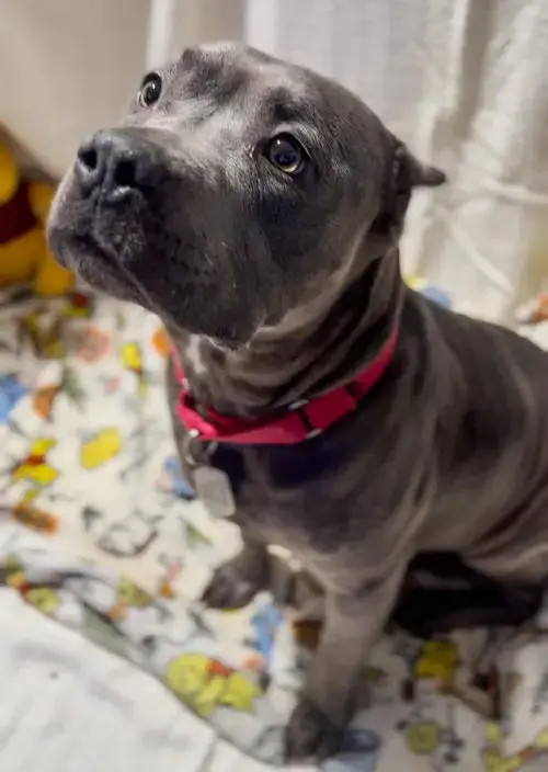 Winnie