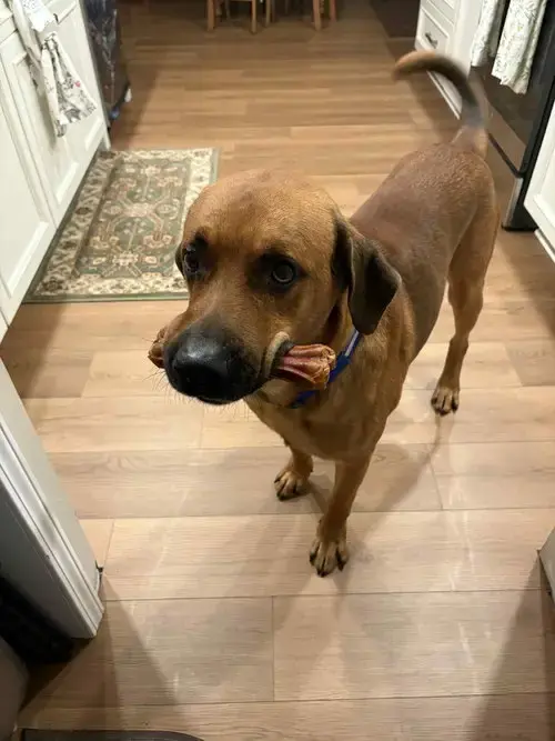 Tucker