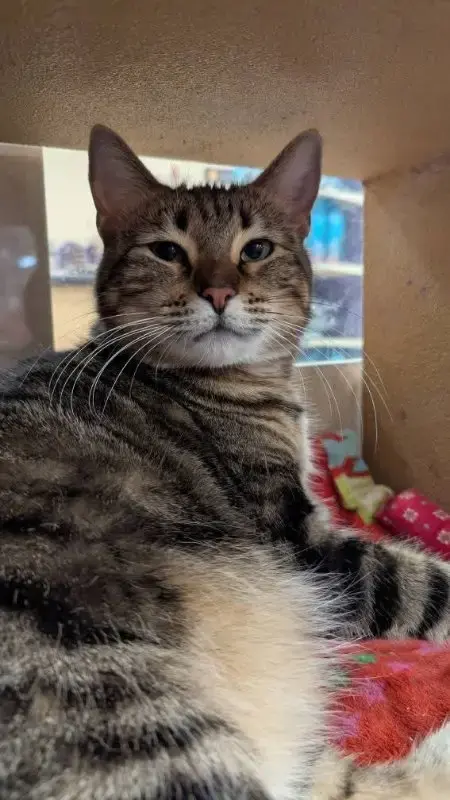 Bobbie Jo
