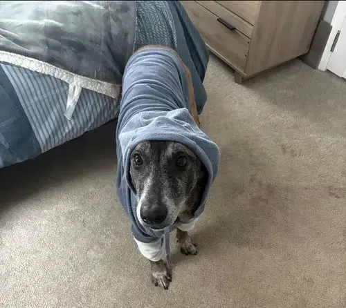 Millie
