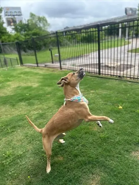 Zoe