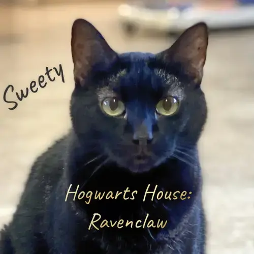 Sweety
