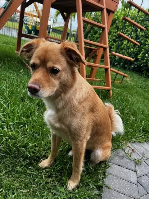 Tucker *