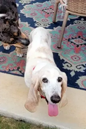 Mollie Mae