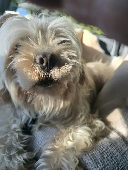 Marilyn