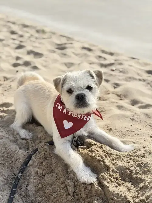 Buster