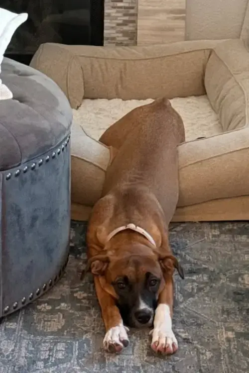 Molly Mae