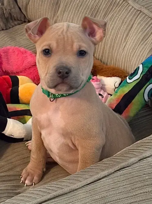 Axle