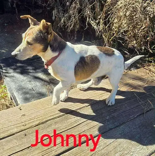 Johnny *