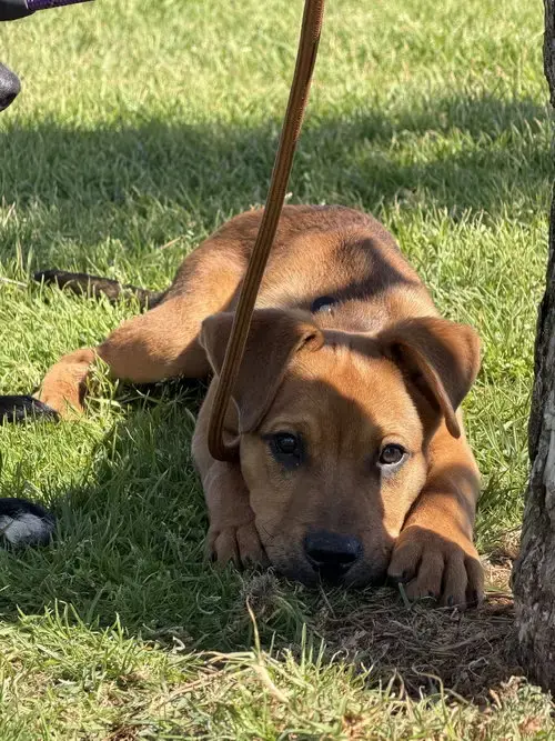 Sam