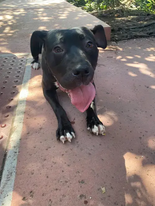 Lucy