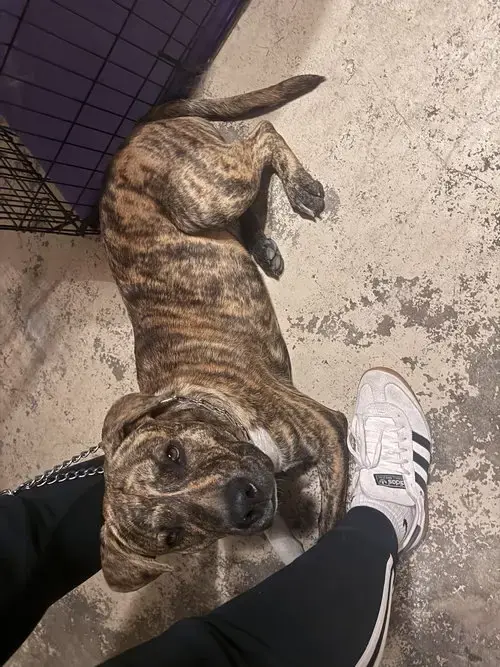 Courtesy Post: Lucky