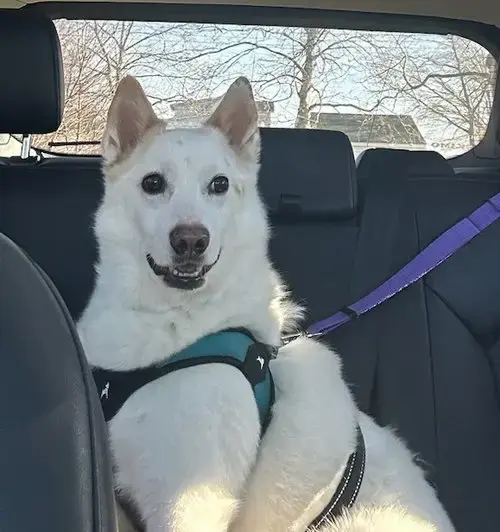 Casper Of Md