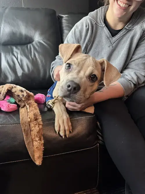 Bailey Lou