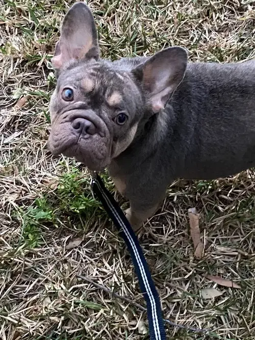 Emma *