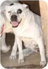Blanca