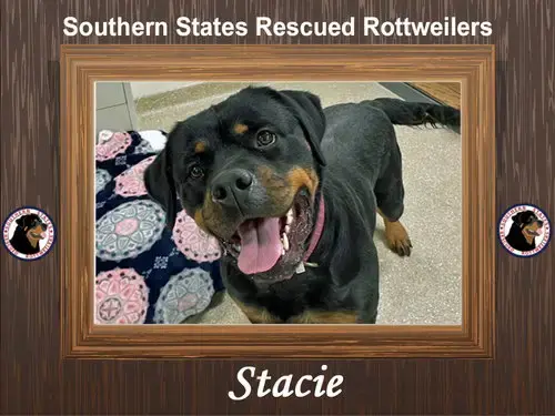 Stacie