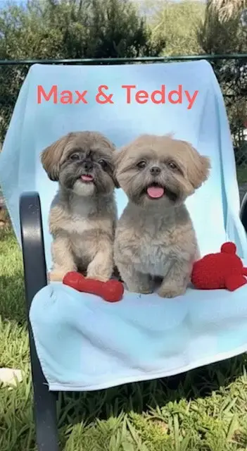 Max & Teddy